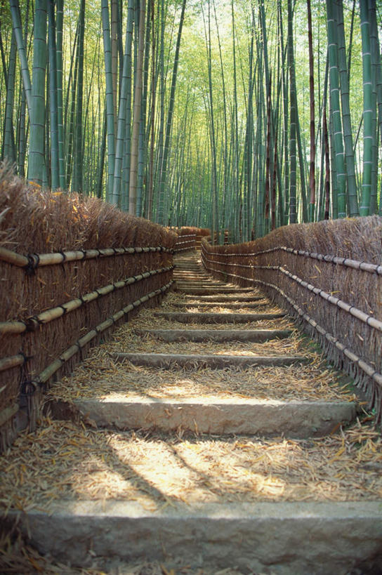 无人,栏杆,竖图,室外,白天,仰视,旅游,度假,石头,美景,树林,植物,楼梯,柳树,叶子,京都,日本,亚洲,扶手,石子,阶梯,景观,桥,落叶,娱乐,石桥,护栏,台阶,栈桥,树,树木,蓝色,绿色,蓝天,天空,自然,天,享受,休闲,景色,放松,京都府,生长,成长,人行桥,自然风光,柳叶,东亚,本州,本州岛,日本国,近畿地方,近畿,岚山,叶,叶片,石块,彩图,低角度拍摄