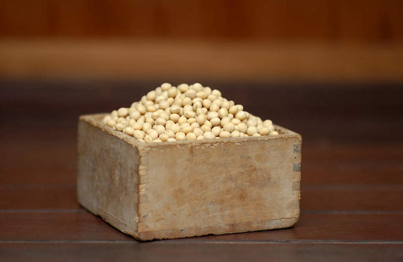 无人,横图,室内,特写,白天,正面,农作物,植物,地板,豆,大豆,蔬菜,许多,新鲜,方形,木盒,豆类,豆子,毛豆,食品,地面,木地板,盒子,食物,一个,有机食品,绿色食品,收获,单个,获得,豆科,枝豆,黄豆,彩图