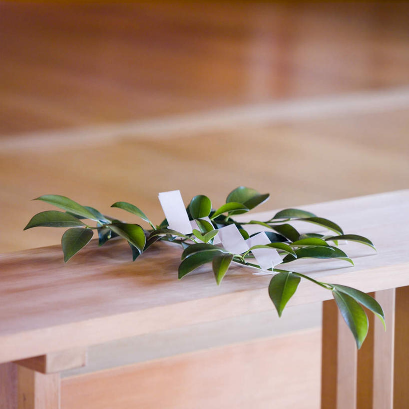 无人,方图,室外,白天,正面,旅游,度假,叶子,椅子,京都,日本,亚洲,香炉,木椅,绿叶,娱乐,祈祷,享受,休闲,嫩叶,放松,许愿,宗教,信仰,京都府,祈求,祭奠,祭祀,祭坛,东亚,本州,本州岛,日本国,近畿地方,近畿,敬拜,叶,叶片,彩图