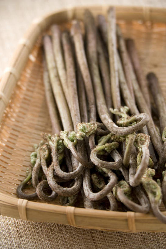 无人,交叉,竖图,俯视,室内,特写,白天,烹饪,桌面,桌子,竹子,蔬菜,阴影,竹制,新鲜,编织,光线,木制,篮子,影子,日本料理,食品,菜肴,美食,食物,木制品,竹篮,日式料理,佳肴,有机食品,绿色食品,竹条,野菜,交织,竹制品,穿插,彩图,高角度拍摄