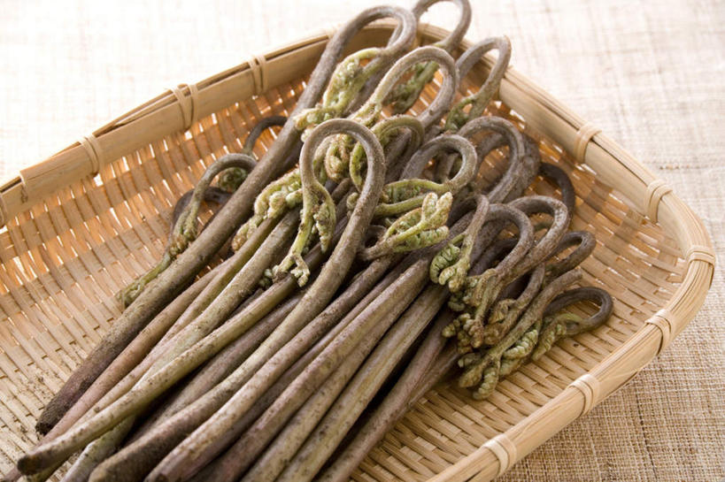 无人,交叉,横图,俯视,室内,特写,白天,烹饪,桌面,桌子,竹子,蔬菜,阴影,竹制,新鲜,编织,光线,木制,篮子,影子,日本料理,食品,菜肴,美食,食物,木制品,竹篮,日式料理,佳肴,有机食品,绿色食品,竹条,野菜,交织,竹制品,穿插,彩图,高角度拍摄