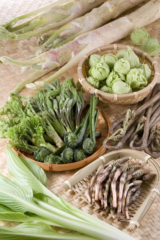 无人,交叉,竖图,俯视,室内,特写,白天,烹饪,快乐,幸福,桌面,桌子,竹子,蔬菜,椰菜,卷心菜,叶子,阴影,竹制,新鲜,编织,光线,木制,篮子,影子,日本料理,食品,绿叶,玛格丽特,菜肴,美食,雏菊,食物,木制品,竹篮,日式料理,嫩叶,甘蓝,菊花,活力,佳肴,有机食品,绿色食品,抱子甘蓝,芽甘蓝,希望,竹条,野菜,交织,竹制品,坚强,和平,离别,灯芯草,延命菊,幸福花,春菊,马兰头花,暗恋,纯情,单恋,穿插,球芽甘蓝,子持甘蓝,灯心草,蔺草,龙须草,马棕根,蓑衣草,野席草,天真,叶,叶片,结球甘蓝,甘兰,包心菜,彩图,高角度拍摄,愉快