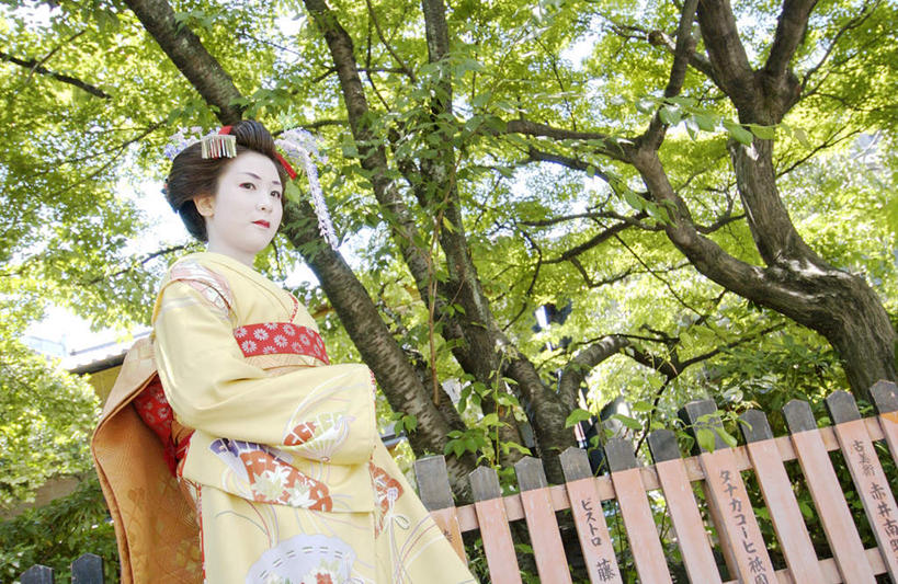 东方人,头发,一个人,站,横图,室外,白天,仰视,民族服装,化妆,植物,日本,亚洲,仅一个年轻女性,仅一个女性,仅一个人,阴影,和服,光线,日文,头饰,影子,篱笆,注视,黄种人,树,树木,绿色,黑色,阳光,自然,发夹,观察,看,站着,服饰,生长,成长,观看,察看,关注,艺妓,东亚,吴服,唐草,唐花,唐锦,日本国,年轻女性,女人,女性,亚洲人,长发,站立,半身,彩图,低角度拍摄,传统服装,民俗服