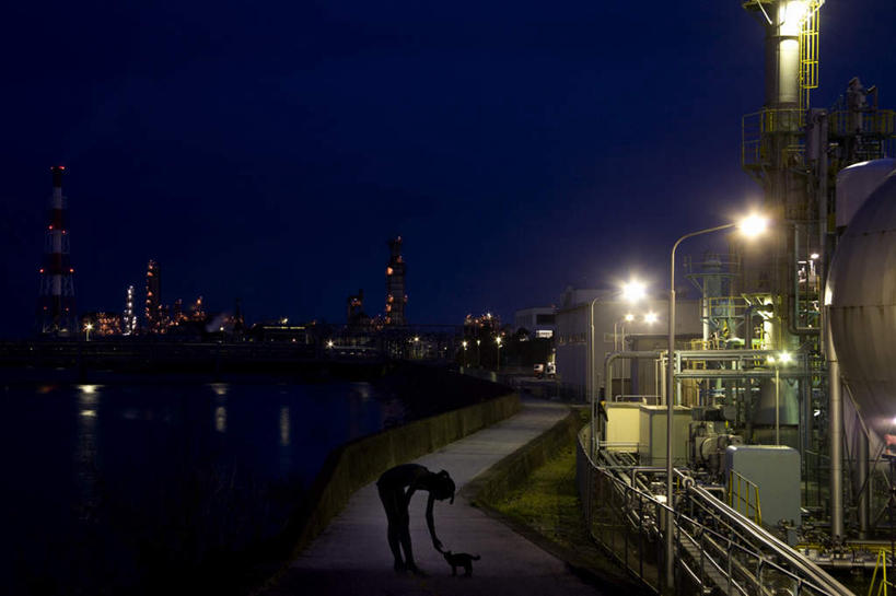 东方人,一个人,工厂,栏杆,站,横图,室外,夜晚,侧面,道路,路,路灯,宠物,猫,日本,亚洲,仅一个年轻女性,仅一个女性,仅一个人,弯腰,服装,围栏,小路,灯光,交通,注视,休闲装,黄种人,护栏,灯,一只,衣服,动物,观察,看,站着,休闲,休闲服,可爱,服饰,观看,察看,照明设备,关注,东亚,本州,三重县,本州岛,日本国,近畿地方,近畿,三重,年轻女性,女人,女性,亚洲人,站立,彩图,全身,工地,制造厂