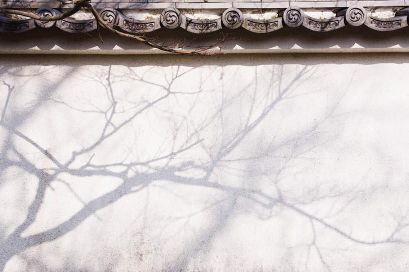 无人,栏杆,横图,室外,白天,正面,植物,京都,日本,亚洲,阴影,反射,瓦片,影子,栅栏,墙,屋檐,篱笆,围栏,护栏,檐,墙壁,墙面,树,树木,绿色,自然,京都府,生长,成长,东亚,本州,本州岛,日本国,近畿地方,近畿,彩图