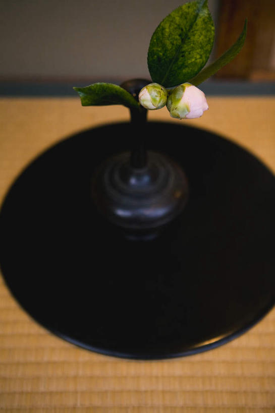 无人,竖图,俯视,室内,白天,智慧,京都,日本,亚洲,阴影,艺术,盛开,光线,影子,花蕾,文化,花,花瓣,花朵,鲜花,粉色,插花,花苞,花蕊,京都府,插花艺术,创造,创作,想象,东亚,本州,本州岛,日本国,近畿地方,近畿,彩图,高角度拍摄