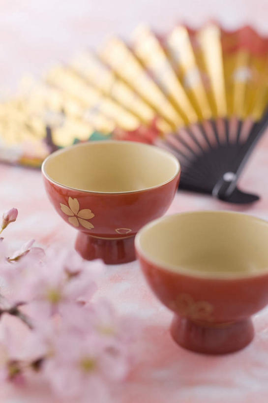 无人,竖图,俯视,室内,白天,樱花,静物,杯子,一把,朦胧,模糊,盛开,瓷器,扇子,折扇,纸扇,咖啡杯,陶瓷制品,清凉,花蕾,凉爽,文化,花,花瓣,花朵,鲜花,花苞,花蕊,摄影,影棚,瓷杯,恶心,撒扇,彩图,高角度拍摄,影棚拍摄,拍摄,传统文化