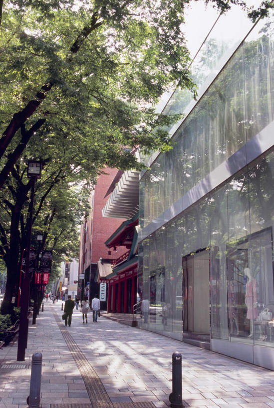 东方人,三个人,商店,站,走,竖图,室外,白天,仰视,度假,美景,植物,城市风光,城市,道路,路,公路,东京,日本,亚洲,行人,景观,交通,黄种人,娱乐,路人,树,树木,绿色,自然,站着,享受,休闲,日本人,景色,放松,金融,百货,生长,成长,贸易,百货公司,东亚,本州,关东地方,本州岛,日本国,东京都,涩谷区,过客,原宿,表参道,男人,男性,年轻男性,年轻女性,女人,女性,亚洲人,马路,步行,散步,站立,走路,彩图,低角度拍摄,全身,购物商场,购物中心