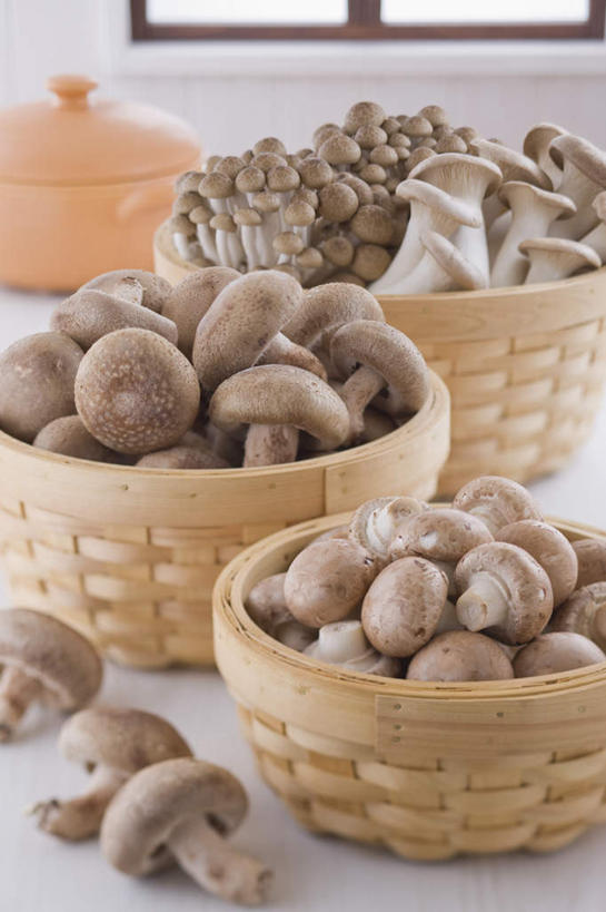 无人,竖图,俯视,室内,白天,白色背景,餐桌,窗户,桌子,蔬菜,餐具,许多,朦胧,模糊,新鲜,锅子,篮子,菌菇,蘑菇,食品,菌类,玻璃窗,食物,食用菌,摄影,藤编,有机食品,绿色食品,影棚,餐台,锅具,炊具,进餐用具,烹调用具,彩图,高角度拍摄,影棚拍摄,拍摄