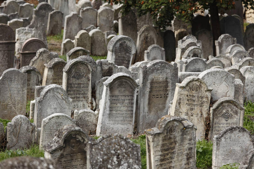 无人,横图,室外,白天,正面,旅游,度假,草地,草坪,美景,植物,奥地利,欧洲,一排,节日,整齐,并列,并排,景观,文化,娱乐,草,树,树木,排列,绿色,自然,墓碑,祈祷,享受,休闲,墓地,健康,景色,放松,许愿,宗教,信仰,生长,成长,纪念,祈求,死亡,掩埋,坟墓,陵墓,队列,自然风光,平行,坟场,中欧,犹太教,奥地利共和国,殒命,灭亡,埋葬,安葬,布尔根兰,布尔根兰州,挑筋教,平安,彩图