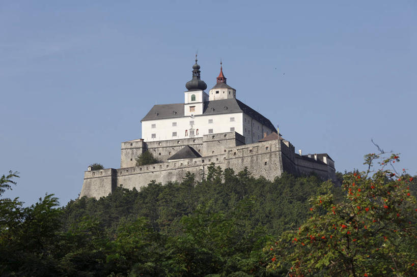 无人,家,横图,室外,白天,仰视,旅游,度假,名胜古迹,森林,树林,植物,别墅,标志建筑,地标,建筑,奥地利,欧洲,阴影,遗迹,光线,影子,堡垒,城堡,房屋,屋子,公寓,古迹,文物,娱乐,建设,古建筑,洋房,楼房,住宅,树,树木,蓝色,绿色,蓝天,天空,阳光,自然,天,享受,休闲,旅游胜地,放松,生长,晴朗,成长,要塞,古文明,中欧,万里无云,奥地利共和国,设防,布尔根兰,布尔根兰州,晴空,晴空万里,彩图,低角度拍摄,房子