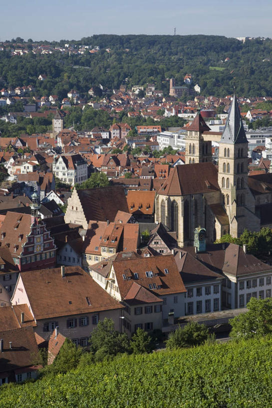 无人,家,竖图,俯视,室外,白天,度假,美景,植物,城市风光,城市,建筑,德国,欧洲,瓦片,房屋,屋顶,屋子,景观,公寓,顶棚,瓦,娱乐,洋房,楼房,住宅,树,树木,蓝色,绿色,蓝天,天空,自然,天,享受,休闲,景色,放松,建造,生长,晴朗,成长,西欧,屋瓦,斯图加特,万里无云,德意志联邦共和国,州府,巴登.符腾堡,巴登.符腾堡州,巴符州,晴空,晴空万里,彩图,高角度拍摄,房子