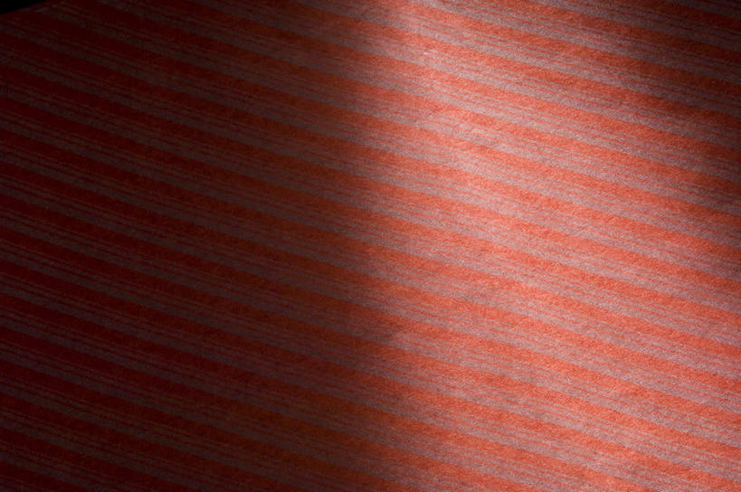 无人,横图,室内,特写,白天,正面,兴奋,热情,静物,阴影,花纹,条纹,反射,纹路,图案,纹理,影子,开放,红色,健康,温暖,奔放,活力,积极,激情,朝气,暖色,吉祥,生命,饱满,肌理,革命,热烈,赤色,充实,斗志,喜气,主动,彩图,欢乐