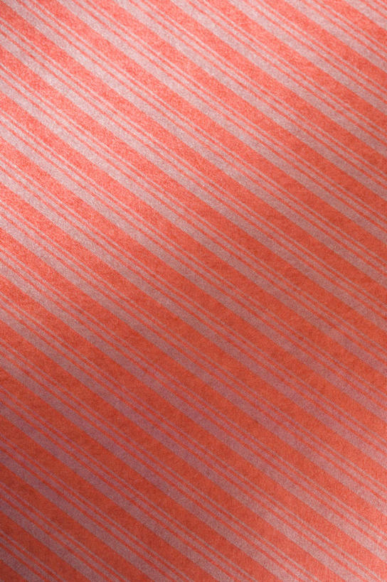 无人,竖图,室内,特写,白天,正面,兴奋,热情,静物,阴影,花纹,条纹,反射,纹路,图案,纹理,影子,开放,红色,健康,温暖,奔放,活力,积极,激情,朝气,暖色,吉祥,生命,饱满,肌理,革命,热烈,赤色,充实,斗志,喜气,主动,彩图,欢乐