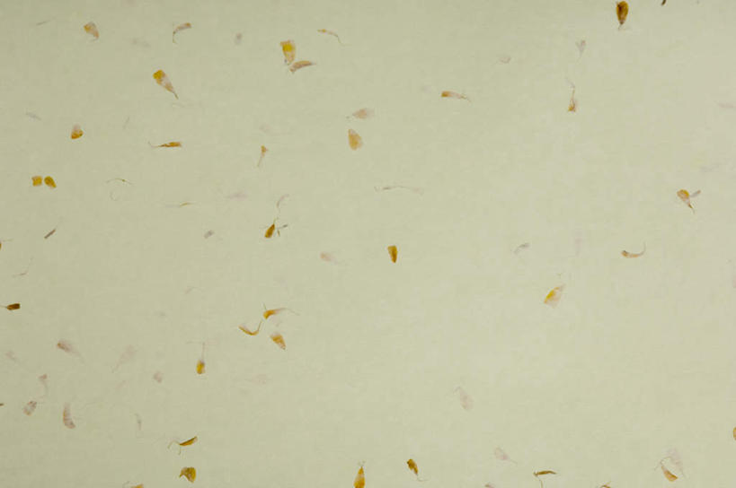 无人,横图,室内,特写,白天,正面,静物,阴影,花纹,反射,纹路,图案,纹理,影子,灰色,金色,肌理,柔和,大方,细致,中间色,朴素,平稳,彩图