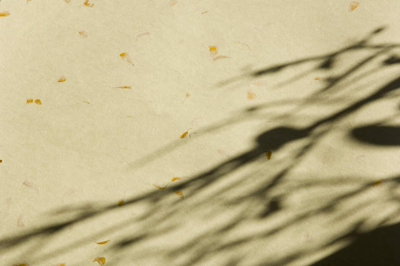 无人,横图,室内,特写,白天,正面,静物,阴影,花纹,反射,纹路,图案,纹理,影子,灰色,金色,肌理,柔和,大方,细致,中间色,朴素,平稳,彩图