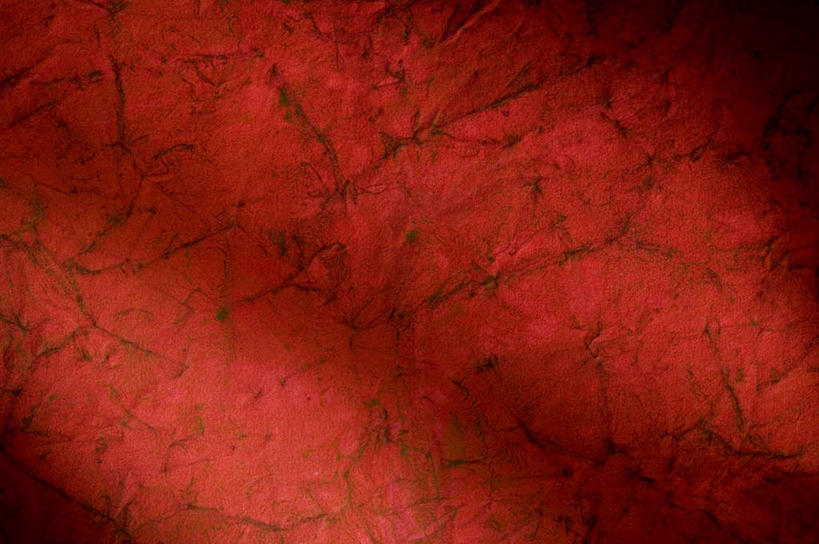 无人,横图,室内,特写,白天,正面,兴奋,热情,静物,阴影,花纹,反射,纹路,图案,纹理,影子,开放,红色,健康,温暖,奔放,活力,积极,激情,朝气,暖色,吉祥,生命,饱满,肌理,革命,热烈,赤色,充实,斗志,喜气,主动,彩图,欢乐