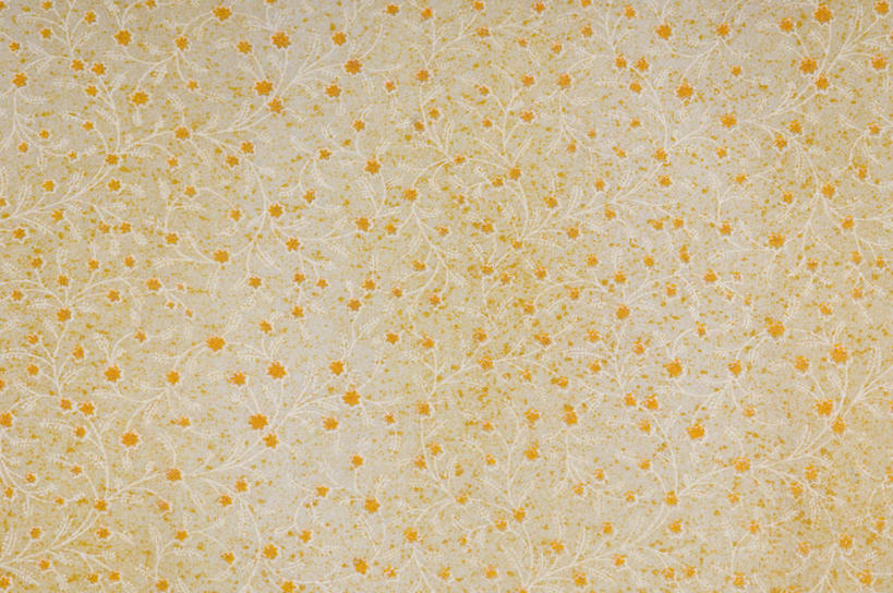 无人,横图,室内,特写,白天,正面,静物,阴影,花纹,透明,反射,纹路,图案,纹理,影子,辉煌,黄色,白色,健康,活泼,希望,暖色,光辉,肌理,光明,功名,轻快,彩图