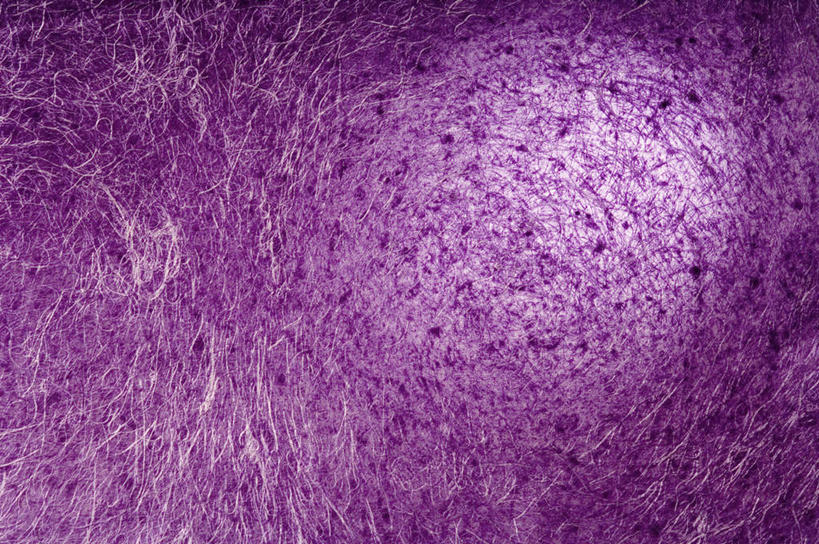 无人,横图,室内,特写,白天,正面,神秘,静物,阴影,花纹,反射,纹路,图案,纹理,影子,圈,紫色,优美,庄重,高贵,消极,肌理,冷色,孤寂,彩图,奢华