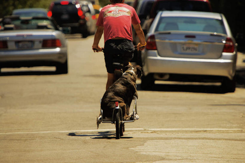 西方人,一个人,坐,横图,室外,白天,度假,美景,城市风光,城市,道路,路,公路,汽车,欧洲,美国,欧洲人,仅一个男性,仅一个人,握,阴影,光线,影子,景观,交通,娱乐,车,电瓶车,仅一个年轻男性,骑,背面,阳光,交通工具,轿车,行驶,骑车,享受,休闲,景色,放松,握着,北美洲,美洲,男人,男性,年轻男性,白种人,马路,坐着,半身,彩图
