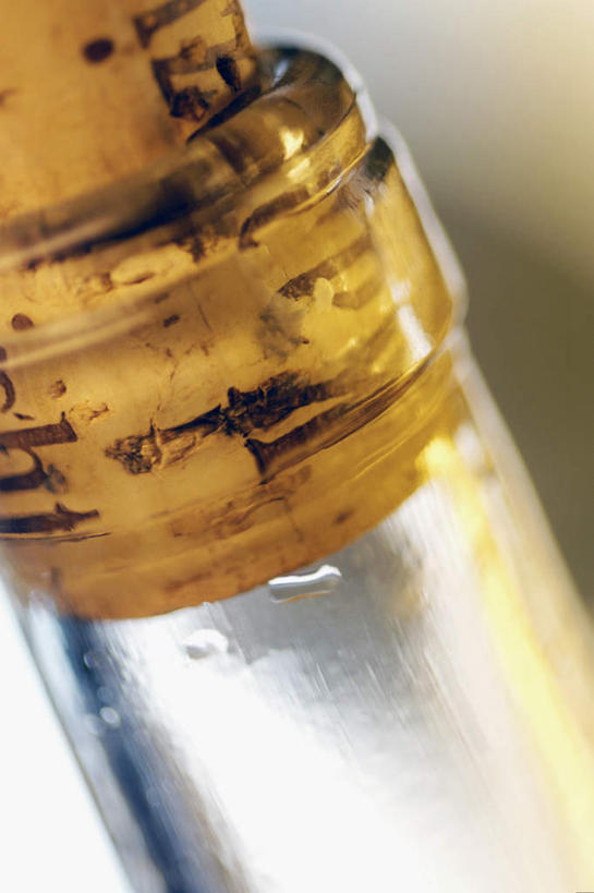 无人,竖图,室内,特写,白天,正面,静物,阴影,朦胧,模糊,反射,影子,红酒瓶,玻璃制品,酒瓶,一个,玻璃瓶,瓶子,瓶塞,单个,葡萄酒瓶,保存,密封,彩图