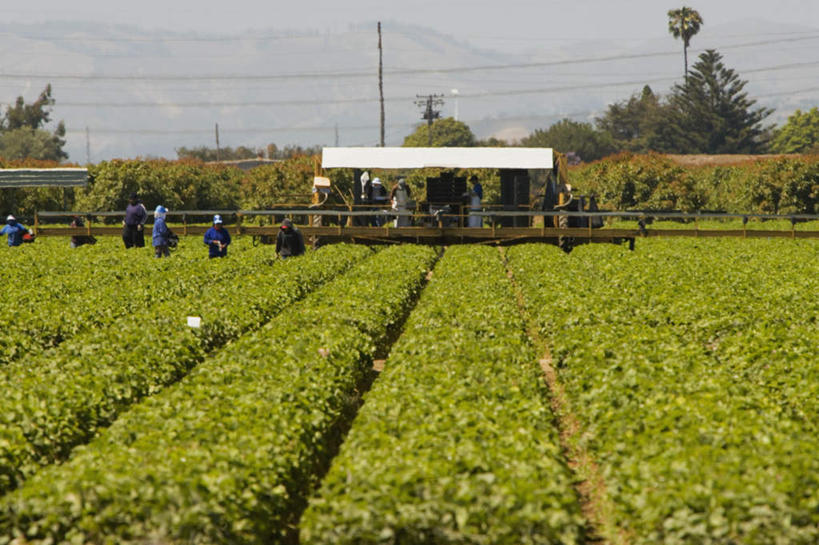 西方人,伙伴,朋友,农民,农田,农场,站,横图,室外,白天,正面,工作服,制服,友谊,合作,团队,畜牧业,牧场,庄稼,农作物,欧洲,欧洲人,阴影,电力,光线,电线,电线杆,线,影子,电能,许多人,线路,注视,蓝色,蓝天,天空,阳光,天,观察,看,站着,一群人,战略,晴朗,观看,电,电源,察看,关注,能量,畜牧,万里无云,牧业,联合,合谋,农人,工作制服,配合,协作,男人,男性,中年男性,白种人,晴空,晴空万里,农夫,站立,半身,彩图,工作套服,耕地,庄稼田