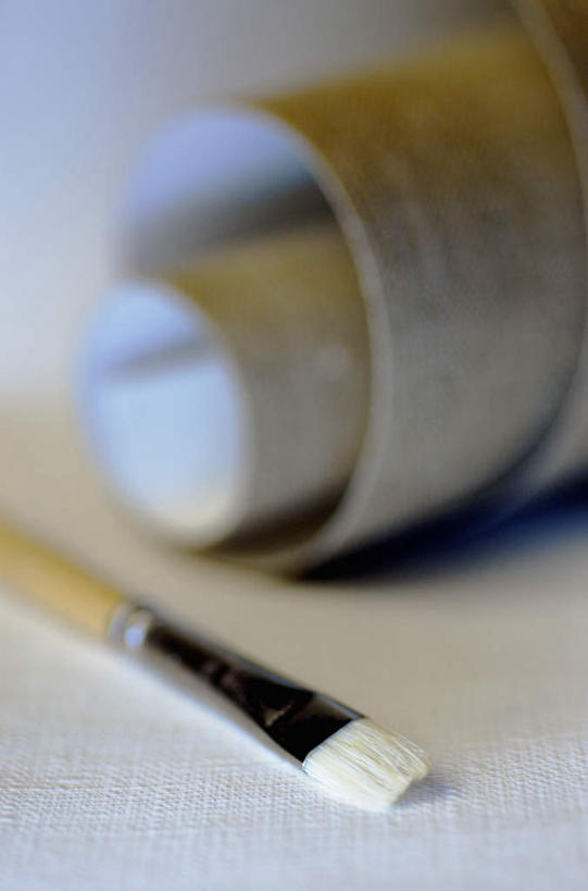 无人,竖图,俯视,室内,特写,白天,白色背景,静物,阴影,花纹,朦胧,模糊,环绕,围绕,反射,笔,布,图案,影子,办公用品,布纹,环抱,文具,画笔,学习用品,摄影,影棚,布匹,文具用品,一支,画布,萦绕,彩图,高角度拍摄,影棚拍摄,拍摄