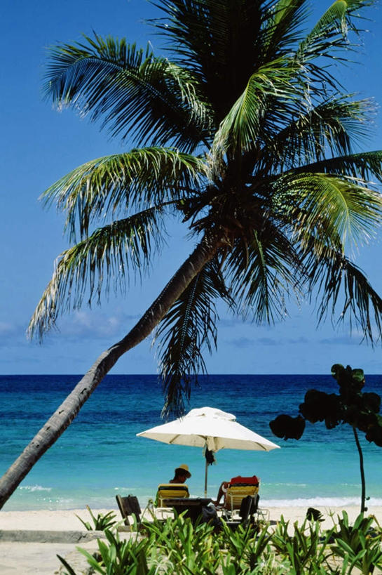 西方人,两个人,坐,竖图,室外,白天,旅游,度假,海浪,海洋,美景,沙滩,植物,棕榈树,叶子,椅子,欧洲,欧洲人,阴影,服装,光线,伞,沙子,影子,雨伞,遮阳伞,躺椅,海岸,景观,浪花,云,云朵,绿叶,沙地,云彩,娱乐,阳伞,树,树木,背面,衣服,蓝色,绿色,白云,蓝天,天空,阳光,自然,海水,天,享受,休闲,嫩叶,景色,放松,服饰,生长,晴朗,成长,沙滩椅,太阳伞,衣着,穿着,自然风光,大洋洲,海景,棕榈叶,法属波利尼西亚,社会群岛,向风群岛,法属玻利尼西亚,衣饰,萨巴岛,男人,男性,女人,女性,中年男性,中年女性,白种人,叶,叶片,大海,风浪,海,海水的波动,海滩,近岸浪,涌浪,晴空,坐着,彩图,全身