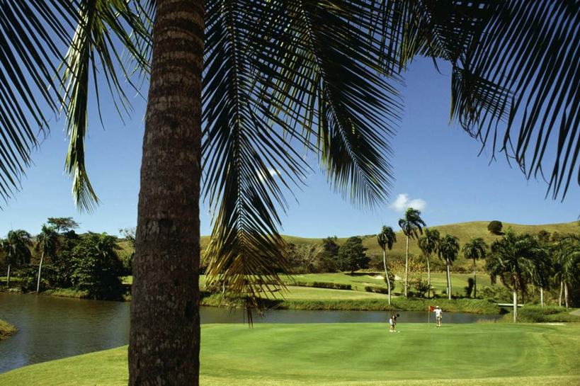 无人,横图,室外,白天,正面,旅游,度假,草地,草坪,美景,植物,棕榈树,叶子,加勒比海,阴影,光线,影子,景观,云,云朵,球场,绿叶,云彩,娱乐,高尔夫球场,草,树,树木,蓝色,绿色,白云,蓝天,天空,阳光,自然,天,享受,休闲,嫩叶,景色,南美,放松,生长,晴朗,成长,南美洲,拉丁美洲,自然风光,美洲,绿茵场,棕榈叶,维京群岛,亚美利加洲,南亚美利加洲,处女群岛,美属处女群岛,美属维尔京群岛,维尔京群岛,美属维京群岛,圣克罗伊岛,叶,叶片,晴空,彩图