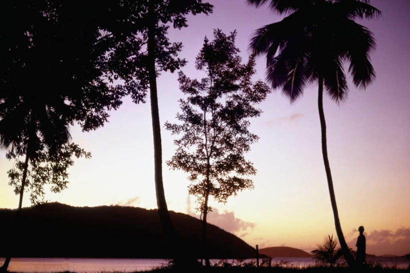 无人,横图,室外,白天,正面,旅游,度假,美景,日落,山,山脉,植物,棕榈树,叶子,加勒比海,阴影,光线,影子,景观,山峰,晚霞,霞光,落日,绿叶,山峦,背光,娱乐,树,树木,绿色,阳光,自然,黄昏,群山,享受,休闲,嫩叶,景色,彩霞,南美,放松,生长,成长,南美洲,拉丁美洲,自然风光,美洲,逆光,棕榈叶,维京群岛,亚美利加洲,南亚美利加洲,处女群岛,美属处女群岛,美属维尔京群岛,维尔京群岛,夕照,美属维京群岛,叶,叶片,夕阳,彩图,斜阳