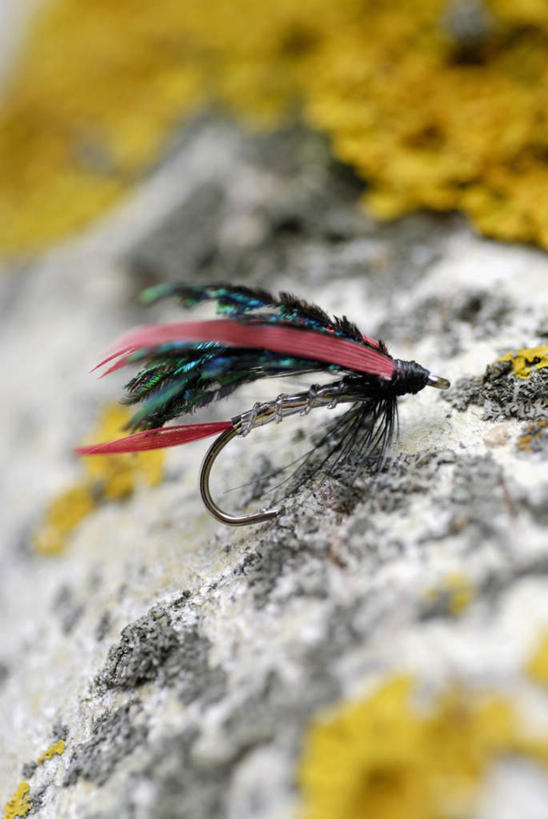 无人,竖图,俯视,室外,特写,白天,石头,阴影,朦胧,模糊,反射,钩子,石子,影子,渔具,鱼钩,鱼饵,石块,彩图,高角度拍摄,钓鱼