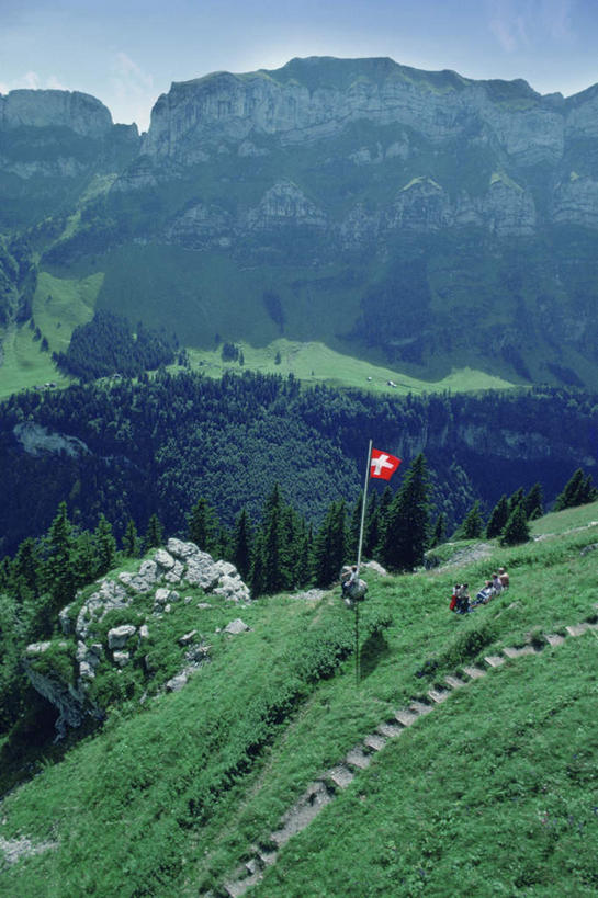 无人,竖图,俯视,室外,白天,旅游,度假,美景,森林,山,山脉,树林,植物,旗帜,国旗,瑞士,欧洲,阴影,光线,影子,景观,山峰,山峦,娱乐,树,树木,蓝色,绿色,蓝天,天空,阳光,自然,群山,天,享受,休闲,景色,放松,生长,晴朗,成长,连绵,绵延,自然风光,中欧,万里无云,瑞士联邦,联贯,旗,晴空,晴空万里,彩图,高角度拍摄