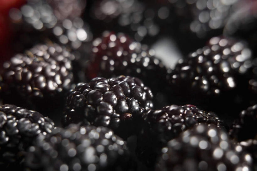无人,横图,俯视,室内,特写,白天,黑莓,水果,许多,阴影,朦胧,模糊,新鲜,反射,影子,生食,食品,果实,食物,有机食品,绿色食品,露莓,彩图,高角度拍摄
