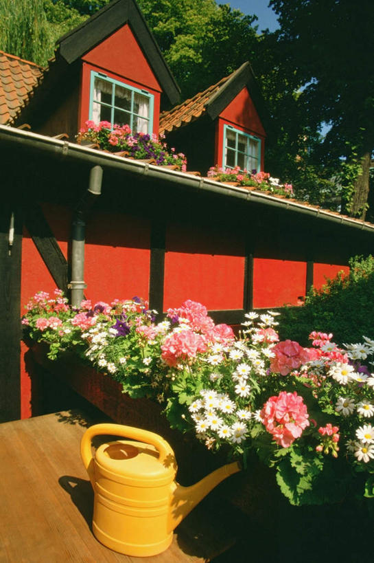 无人,家,竖图,室外,白天,仰视,度假,花海,花圃,美景,植物,城市风光,城市,叶子,丹麦,欧洲,阴影,盛开,光线,壶,影子,房屋,屋子,景观,公寓,首都,花蕾,洒水壶,娱乐,洋房,楼房,住宅,水壶,花,花瓣,花朵,花卉,鲜花,树,树木,一个,黄色,蓝色,绿色,蓝天,天空,阳光,自然,花丛,花束,花田,天,花苞,花蕊,享受,休闲,景色,放松,生长,晴朗,单个,成长,北欧,万里无云,丹麦王国,浇水壶,蒂沃利公园,哥本哈根,西兰岛,晴空,晴空万里,彩图,低角度拍摄,房子