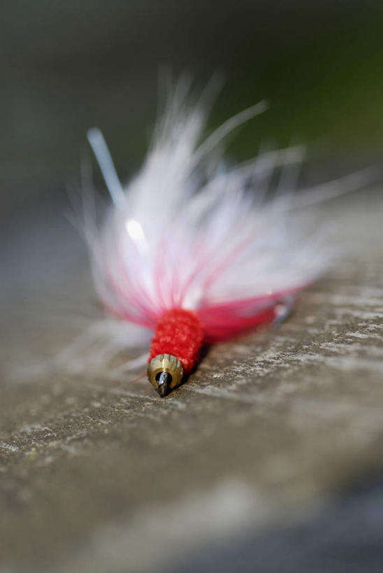 无人,竖图,俯视,室外,特写,白天,静物,羽毛,阴影,朦胧,模糊,轻盈,柔软,光线,钩子,影子,一个,阳光,单个,渔具,鱼钩,鱼饵,轻柔,彩图,高角度拍摄,钓鱼