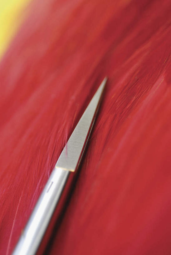 无人,竖图,俯视,室外,特写,白天,静物,阴影,朦胧,模糊,光线,影子,刀具,一个,阳光,刀,单个,锋利,尖锐,尖利,犀利,彩图,高角度拍摄