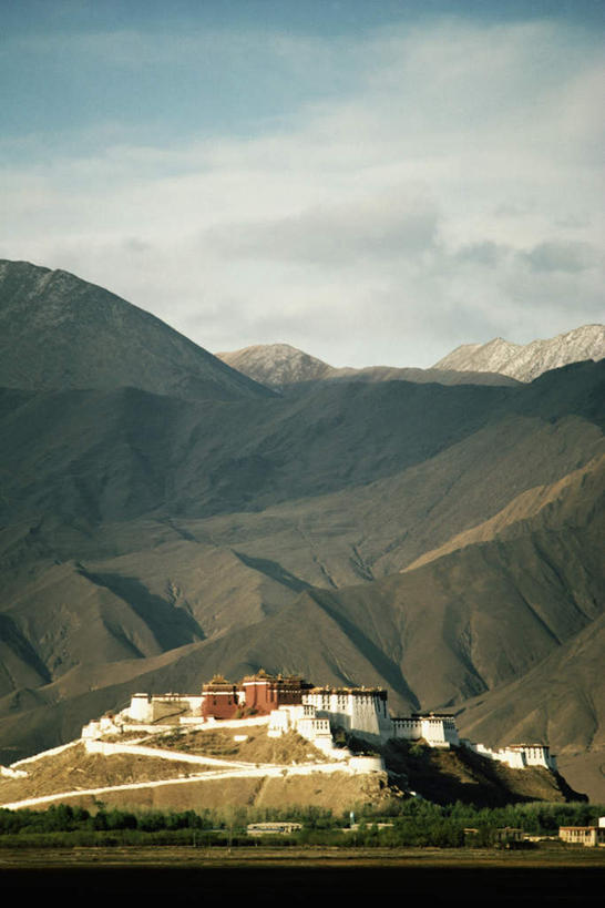 无人,宫殿,竖图,室外,白天,正面,旅游,度假,石头,名胜古迹,山,山脉,植物,标志建筑,地标,建筑,布达拉宫,中国,亚洲,阴影,节日,遗迹,光线,石子,影子,山顶,山峰,云,云朵,建筑群,山峦,云彩,古迹,文化,文物,娱乐,建设,古建筑,拉萨,西藏,树,树木,蓝色,绿色,白云,蓝天,天空,阳光,自然,群山,天,祈祷,享受,休闲,健康,旅游胜地,放松,许愿,宗教,佛教,信仰,生长,晴朗,成长,纪念,祈求,藏,古文明,东亚,西藏自治区,首府,中华人民共和国,西南地区,拉萨市,释教,颠峰,极峰,第二普陀山,平安,石块,岩石,晴空,彩图