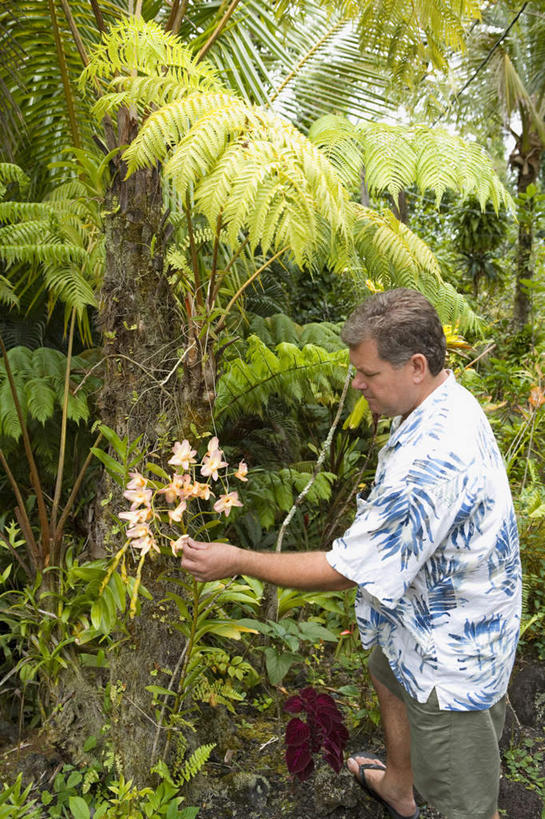 西方人,一个人,站,竖图,室外,白天,侧面,民族服装,衬衫,树林,植物,欧洲,欧洲人,仅一个男性,仅一个人,仅一个中年男性,握,注视,树,树木,绿色,自然,观察,看,站着,握着,生长,成长,观看,察看,关注,男人,男性,中年男性,白种人,站立,半身,彩图,衬衣,传统服装,民俗服,夏威夷衬衫