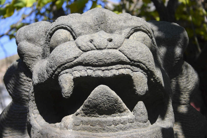 头,无人,横图,室外,特写,白天,正面,度假,美景,植物,城市风光,城市,哺乳动物,野生动物,狮子,雕塑,大同,云岗石窟,中国,亚洲,阴影,辟邪,朦胧,模糊,艺术,装饰,光线,雕刻,雕像,影子,景观,文化,娱乐,石雕,树,树木,绿色,阳光,自然,动物,工艺品,石狮,祈祷,享受,休闲,健康,景色,放松,许愿,生长,成长,纪念,祈求,美术,主题,凶猛,陈列,东亚,山西,山西省,云冈石窟,中华人民共和国,华北地区,功能,美学,驱邪,祛邪,避邪,晋,大同市,守护神,残暴,平安,凶残,头部,彩图