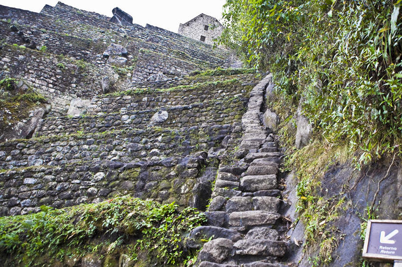 无人,横图,室外,白天,仰视,旅游,度假,名胜古迹,植物,楼梯,标志建筑,地标,建筑,秘鲁,一排,许多,阴影,遗迹,整齐,光线,影子,阶梯,古迹,文物,娱乐,建设,古建筑,台阶,树,树木,排列,蓝色,绿色,蓝天,天空,阳光,自然,天,享受,休闲,旅游胜地,南美,放松,生长,晴朗,成长,南美洲,拉丁美洲,队列,美洲,古文明,万里无云,秘鲁共和国,马丘比丘,亚美利加洲,南亚美利加洲,玉米之仓,马丘比丘遗址,失落之城,印加帝国,晴空,晴空万里,彩图,低角度拍摄