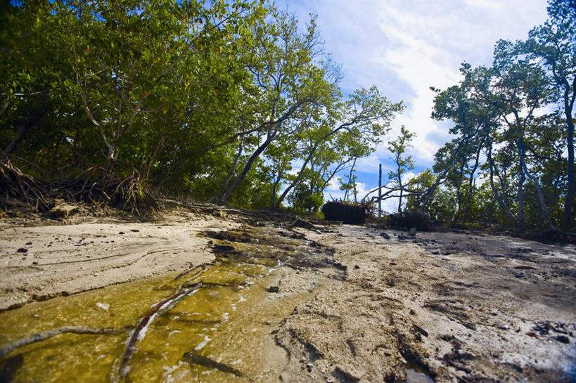 无人,横图,室外,白天,仰视,旅游,度假,石头,美景,森林,树林,植物,道路,路,墨西哥,阴影,光线,石子,影子,景观,云,云朵,小路,交通,云彩,娱乐,树,树木,蓝色,绿色,白云,蓝天,天空,阳光,自然,天,享受,休闲,景色,放松,乡间小路,生长,晴朗,成长,北美,北美洲,自然风光,美洲,沉积岩,尤卡坦半岛,尤卡坦州,北亚美利加洲,亚美利加洲,墨西哥合众国,仙人掌王国,加敦半岛,犹加敦,水成岩,石块,岩石,晴空,彩图,低角度拍摄