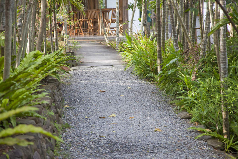 无人,横图,室外,白天,正面,旅游,度假,美景,森林,树林,植物,道路,路,台湾,中国,亚洲,景观,小路,交通,娱乐,树,树木,绿色,自然,享受,休闲,景色,放松,乡间小路,生长,成长,自然风光,东亚,屏东县,港澳台,中华人民共和国,台湾省,彩图,屏东,台