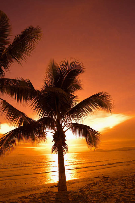 无人,竖图,室外,白天,正面,旅游,度假,海浪,海洋,美景,日落,沙滩,植物,棕榈树,叶子,三亚,中国,亚洲,阴影,光线,沙子,影子,海岸,景观,浪花,晚霞,霞光,落日,绿叶,沙地,背光,娱乐,树,树木,海南,绿色,阳光,自然,海水,黄昏,享受,休闲,嫩叶,景色,彩霞,放松,海南省,生长,成长,自然风光,逆光,海景,东亚,棕榈叶,三亚湾,三亚市,中华人民共和国,华南地区,琼,夕照,叶,叶片,大海,风浪,海,海水的波动,海滩,近岸浪,涌浪,夕阳,彩图,三亚湾度假区,斜阳