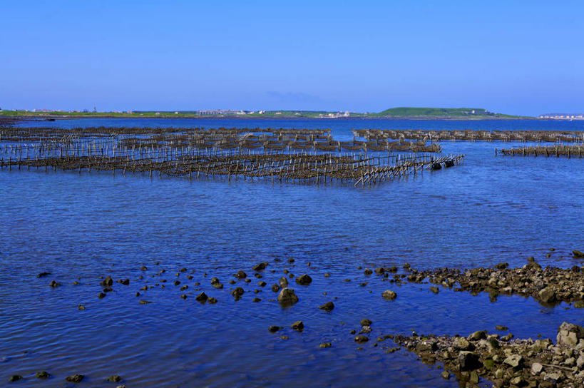 无人,横图,室外,白天,正面,旅游,度假,海浪,海洋,石头,美景,沙滩,台湾,中国,亚洲,阴影,光线,沙子,石子,影子,海岸,景观,浪花,沙地,娱乐,蓝色,蓝天,天空,阳光,自然,海水,天,享受,休闲,景色,放松,晴朗,自然风光,海景,东亚,万里无云,港澳台,中华人民共和国,台湾省,大海,风浪,海,海水的波动,海滩,近岸浪,石块,岩石,涌浪,晴空,晴空万里,彩图,澎湖群岛,台