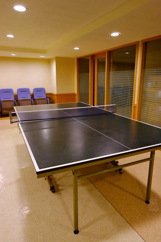 无人,体育馆,运动场,竖图,室内,白天,正面,窗户,落地窗,椅子,照明,台湾,中国,亚洲,一排,阴影,整齐,光线,影子,塑料,墙,灯光,乒乓球装备,乒乓球桌,运动器械,体育场,顶灯,玻璃窗,墙壁,墙面,灯,排列,塑料制品,灯具,健身器械,照亮,照明设备,队列,健身器材,东亚,台北,港澳台,中华人民共和国,省会,运动馆,台北市,台湾省,乒乓球运动,彩图,乒乓球台,运动器材,台