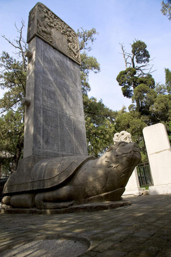 无人,竖图,室外,白天,仰视,旅游,度假,名胜古迹,植物,标志建筑,地标,建筑,龟,雕塑,中国,亚洲,阴影,遗迹,艺术,装饰,光线,雕刻,雕像,影子,古迹,文物,娱乐,建设,古建筑,山东,石雕,海洋生物,树,树木,一只,蓝色,绿色,蓝天,天空,阳光,自然,工艺品,天,享受,休闲,墓地,健康,旅游胜地,放松,生长,晴朗,成长,纪念,美术,坟墓,陵墓,水生动物,主题,坚定,水生物,陈列,坟场,古文明,东亚,海底动物,曲阜,曲阜市,山东省,万里无云,中华人民共和国,华东地区,功能,美学,长寿,鲁,晴空,晴空万里,海龟,彩图,低角度拍摄,孔林,圣林