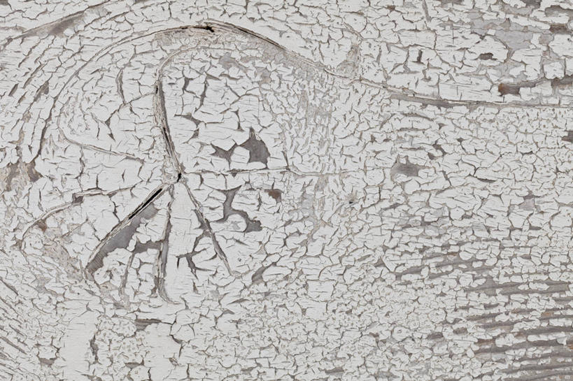 无人,横图,室外,特写,白天,正面,静物,废弃,朦胧,模糊,纹路,纹理,墙,破坏,破损,墙壁,墙面,风化,损坏,肌理,废除,彩图