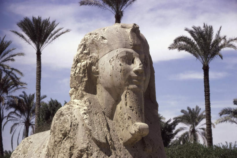 无人,横图,室外,白天,仰视,旅游,度假,名胜古迹,植物,标志建筑,地标,建筑,棕榈树,叶子,雕塑,美国,阴影,遗迹,艺术,装饰,光线,雕刻,雕像,影子,云,云朵,绿叶,云彩,古迹,文物,娱乐,建设,古建筑,石雕,树,树木,蓝色,绿色,白云,蓝天,天空,阳光,自然,工艺品,天,享受,休闲,嫩叶,旅游胜地,放松,生长,晴朗,成长,纪念,美术,北美,北美洲,主题,美洲,陈列,古文明,棕榈叶,田纳西州,首府,功能,美学,北亚美利加洲,亚美利加洲,田纳西,志愿之州,孟菲斯,谢尔比县,叶,叶片,晴空,彩图,低角度拍摄