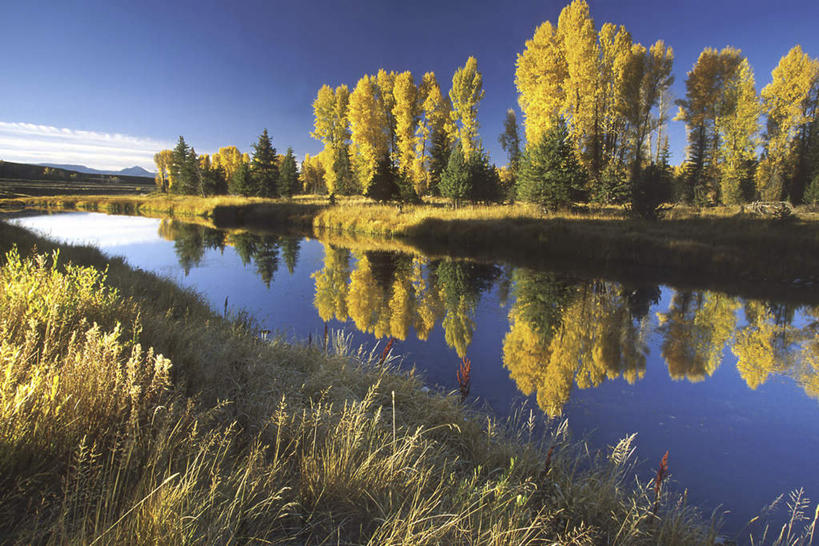 无人,公园,横图,室外,白天,正面,旅游,度假,河流,美景,秋季,水,美国,阴影,波纹,光线,影子,河水,景观,水流,云,云朵,涟漪,云彩,娱乐,蓝色,白云,倒影,蓝天,水纹,天空,阳光,自然,波浪,天,享受,休闲,景色,放松,晴朗,倒映,北美,北美洲,国家公园,自然风光,美洲,怀俄明州,怀俄明,蛇河,大提顿国家公园,水晕,北亚美利加洲,亚美利加洲,平等之州,大蒂顿国家公园,大堤顿国家公园,大提顿公园,反照,晴空,秋,秋天,彩图