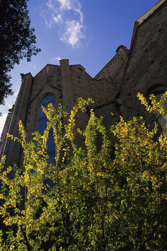 无人,教堂,竖图,室外,白天,仰视,旅游,度假,植物,标志建筑,地标,建筑,叶子,意大利,佛罗伦萨,欧洲,阴影,节日,光线,影子,云,云朵,绿叶,云彩,文化,娱乐,建设,树,树木,蓝色,绿色,白云,蓝天,天空,阳光,自然,天,祈祷,享受,休闲,健康,嫩叶,旅游胜地,放松,许愿,宗教,信仰,生长,晴朗,成长,纪念,祈求,托斯卡纳,南欧,信念,意大利共和国,首府,圣十字教堂,百花之城,翡冷翠,托斯卡纳大区,平安,叶,叶片,晴空,彩图,低角度拍摄,大教堂,礼拜堂